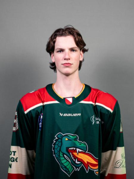 Floris Moorman portrait