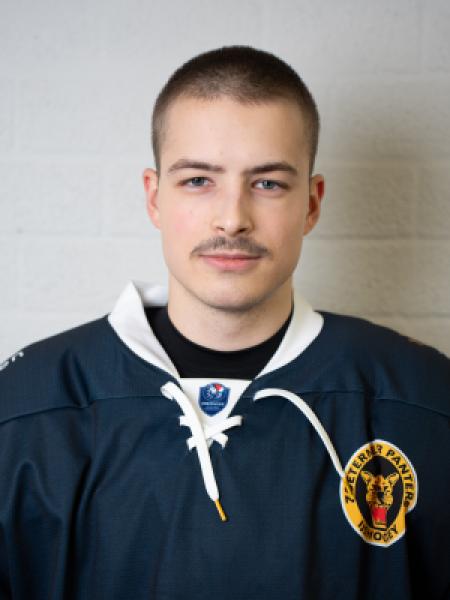 Attila Birke portrait