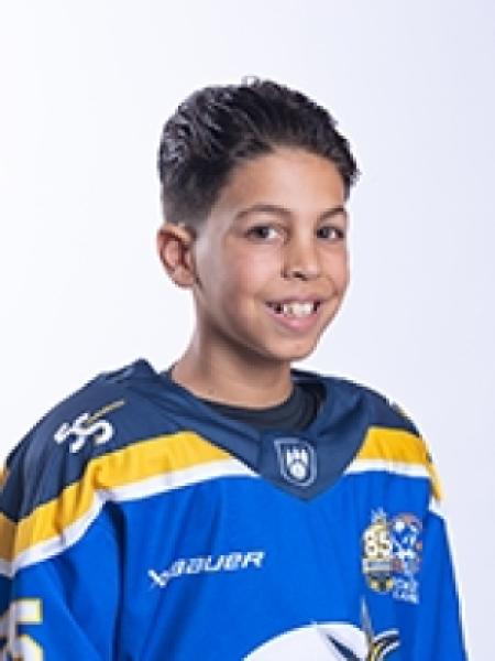 Vin Willemse portrait