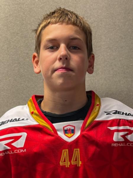 Cas Fokkinga portrait