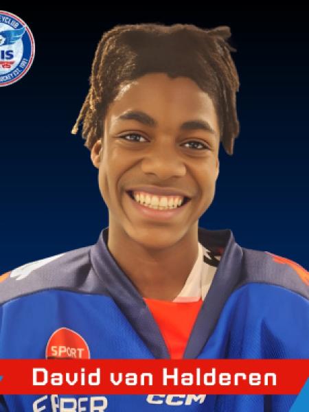 David Halderen portrait