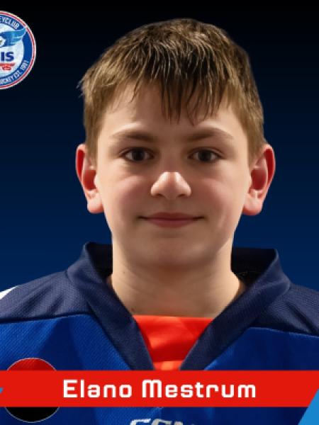 Elano Mestrum portrait