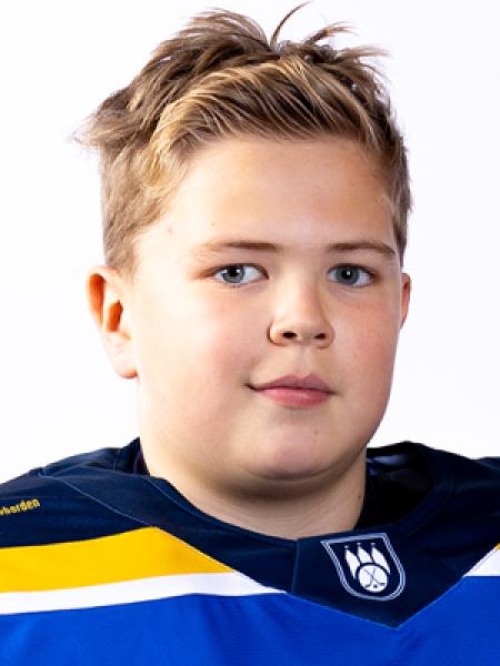 Stan Smeulders portrait