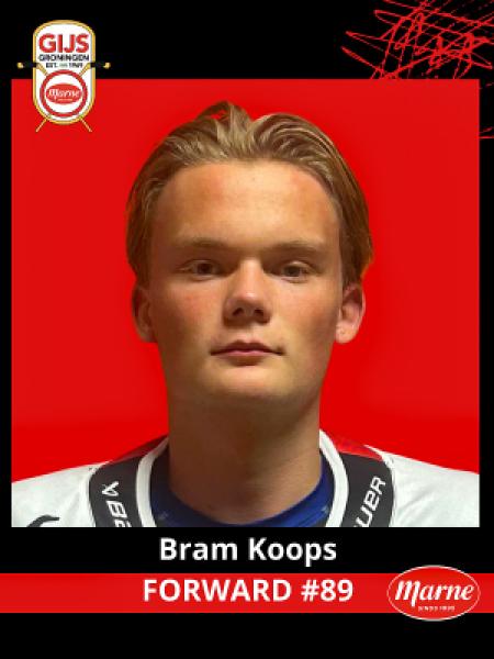 Bram Koops portrait