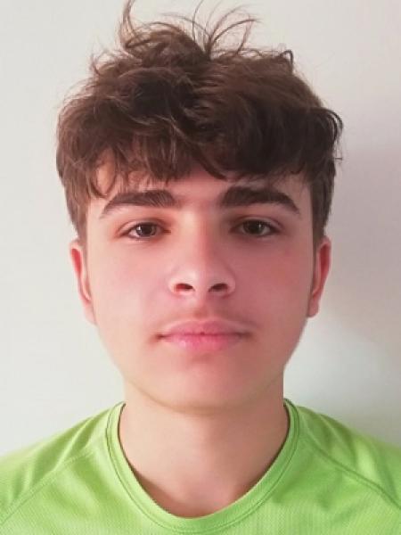 Adrian Constatin Nastase portrait