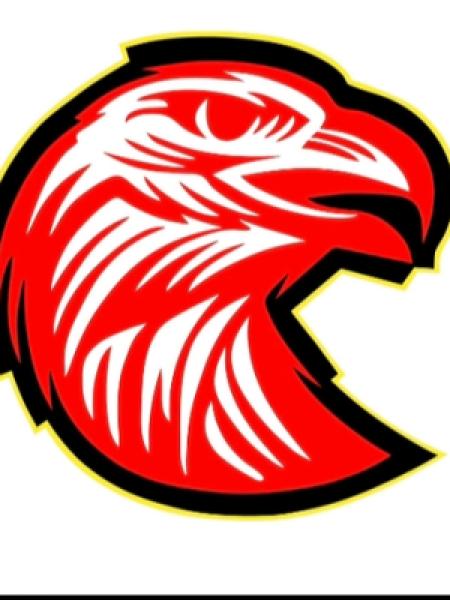 Mark Strijp portrait