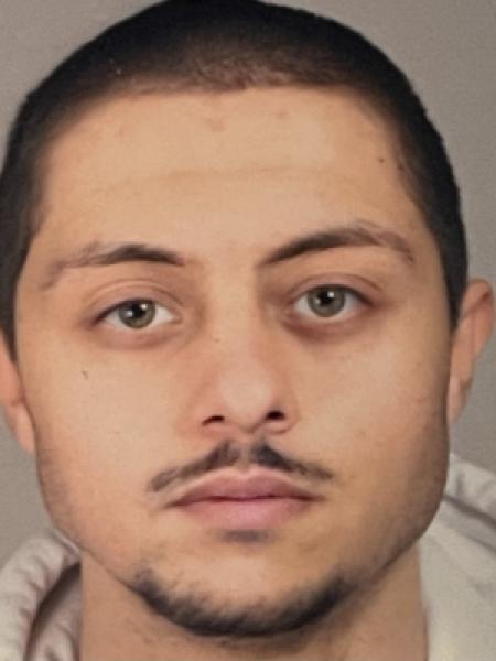 Giovanni Bogaert portrait